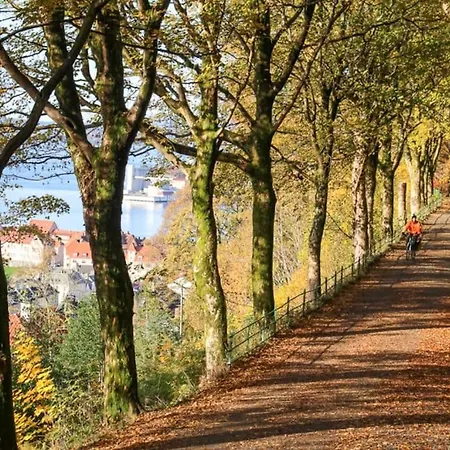 Apartament Dinbnb I 300m To Bryggen & Floien I Renovated 2023 Bergen